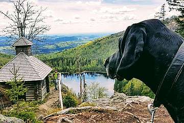 Ausblick auf die Rachelkapelle & den Rachelsee